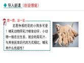 人教版八年级生物上册课件 5.1.7  哺乳动物