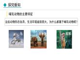 人教版八年级生物上册课件 5.1.7  哺乳动物
