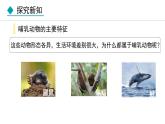 人教版八年级生物上册课件 5.1.7  哺乳动物