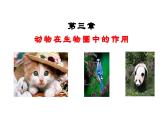 人教版八年级生物上册课件 5.3  动物在生物圈中的作用
