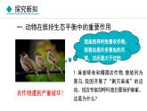 人教版八年级生物上册课件 5.3  动物在生物圈中的作用