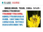 人教版八年级生物上册课件 6.1.2  从种到界