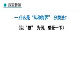 人教版八年级生物上册课件 6.1.2  从种到界