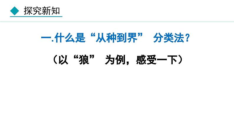 人教版八年级生物上册课件 6.1.2  从种到界第5页