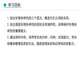 人教版八年级生物上册课件 6.2  认识生物的多样性