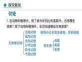 人教版八年级生物上册课件 6.2  认识生物的多样性
