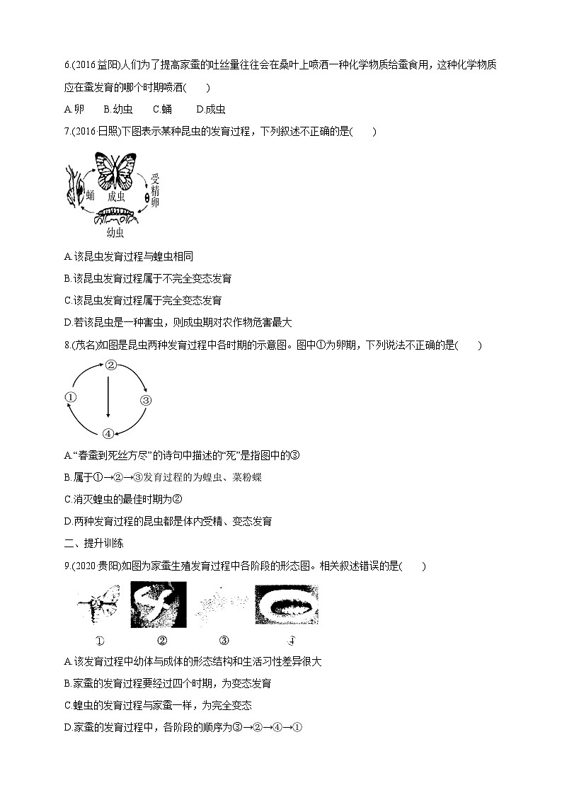 【新课标】生物冀少八下6.1.2.1 动物的生殖和发育 昆虫的生殖和发育 学案第3页
