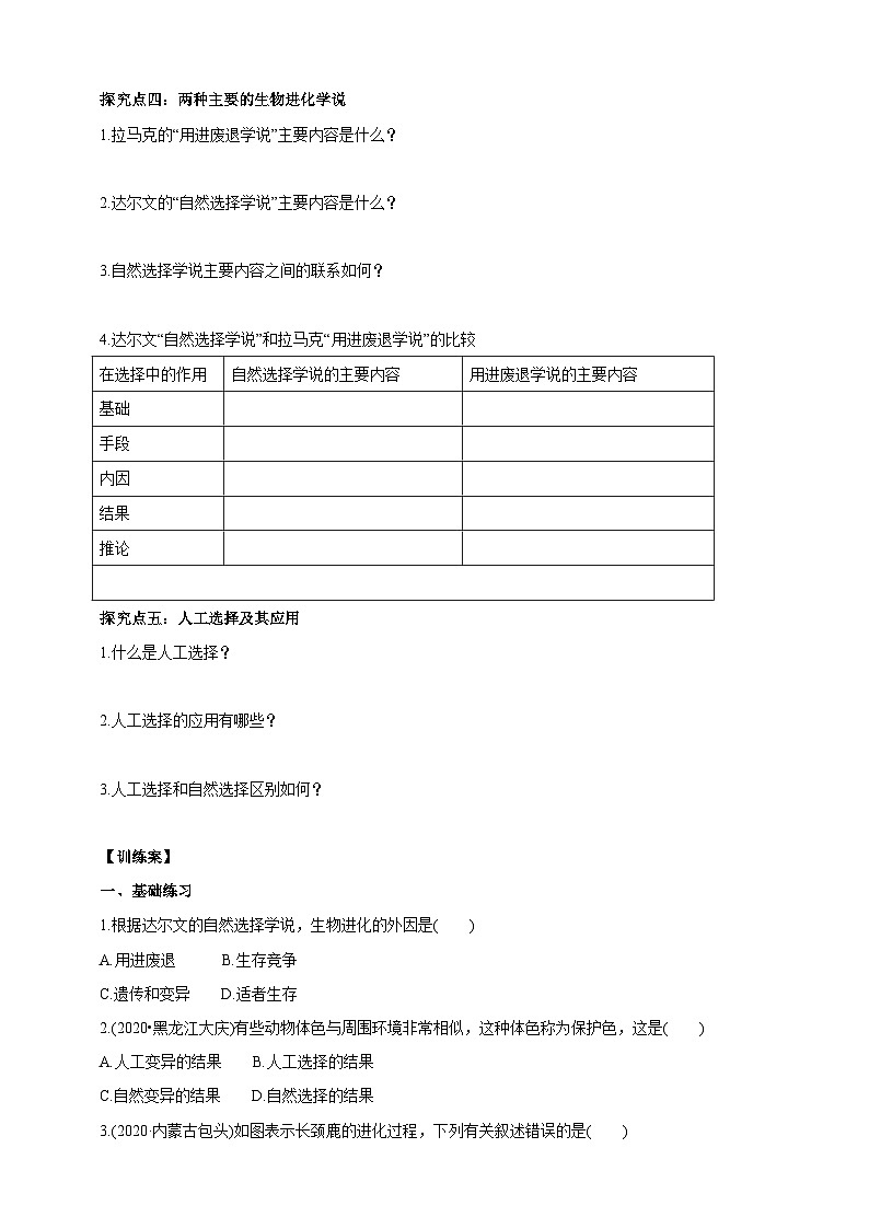 【新课标】生物冀少八下6.3.2.2 生物的进化 生物进化的原因 学案02