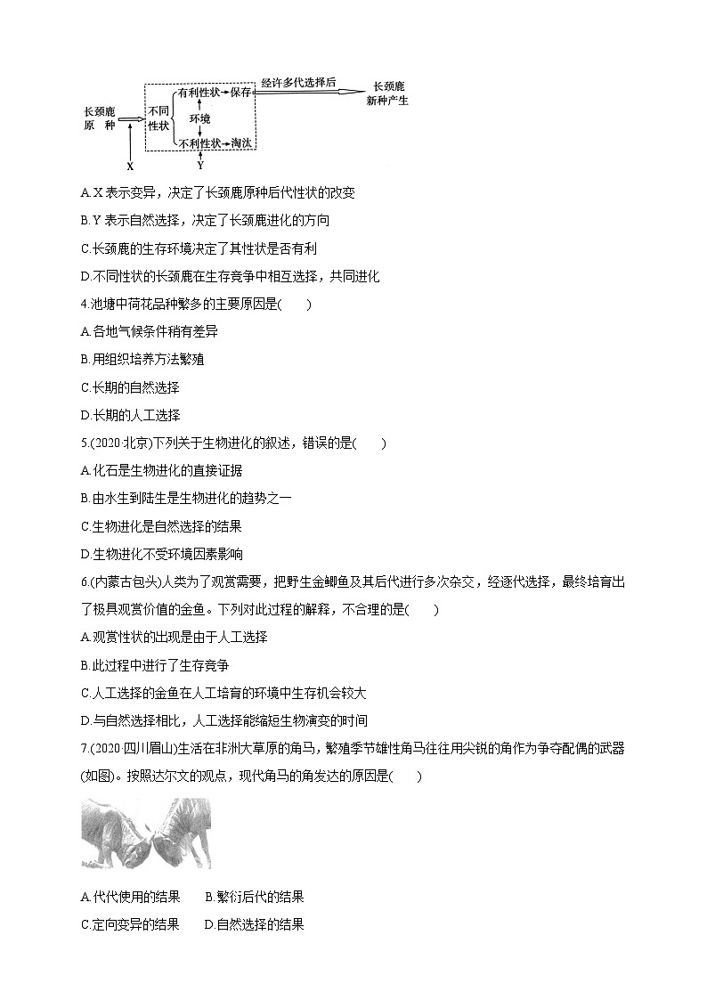 【新课标】生物冀少八下6.3.2.2 生物的进化 生物进化的原因 学案03