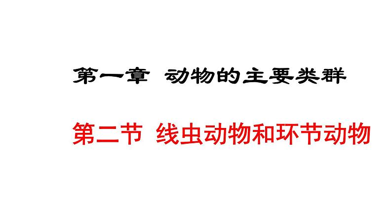 人教版八年级生物上册课件 5.1.2  线虫动物和环节动物01