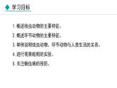 人教版八年级生物上册课件 5.1.2  线虫动物和环节动物