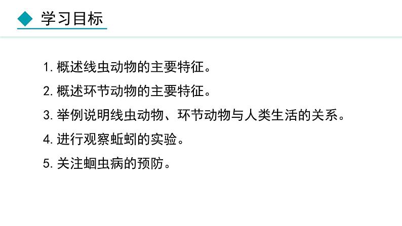 人教版八年级生物上册课件 5.1.2  线虫动物和环节动物02