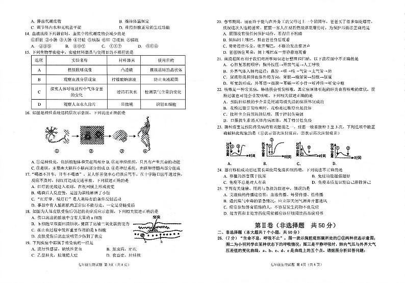 山东省邹平市2023-2024学年七年级下学期期末考试生物试卷第2页