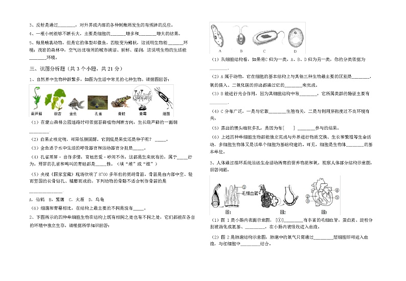 新人教版七年级下册《生物》期中考试卷及答案第3页