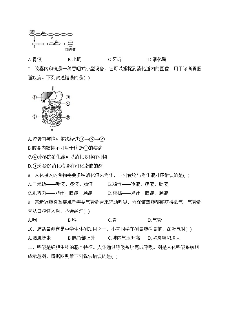 陕西省榆林市2023-2024学年七年级下学期期末生物试卷(含答案)第2页