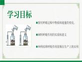 3.4.2呼吸作用（课件+教案）北师大版 七上