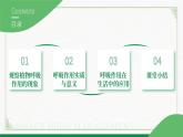 3.4.2呼吸作用（课件+教案）北师大版 七上