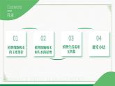 3.4.3吸收作用（课件+教案）北师大版 七上 - 副本