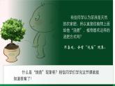 3.4.3吸收作用（课件+教案）北师大版 七上 - 副本