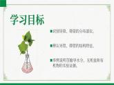 3.4.4运输作用（课件+教案）北师大版 七上