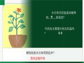 3.4.4运输作用（课件+教案）北师大版 七上