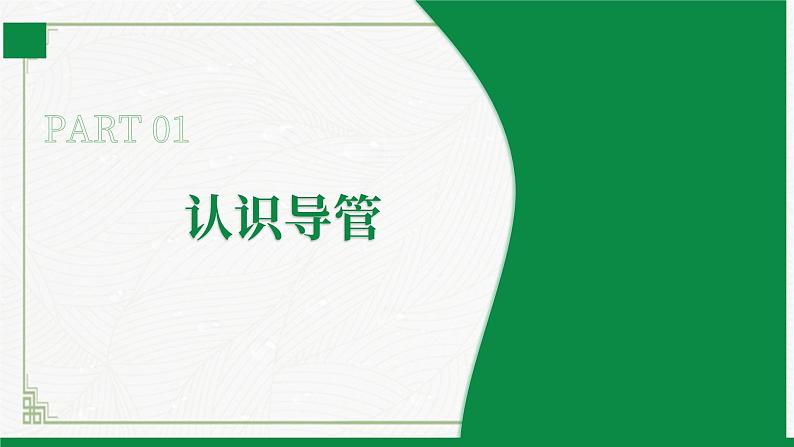 3.4.4运输作用（课件+教案）北师大版 七上05