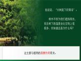 3.4.5蒸腾作用（课件+教案）北师大版 七上