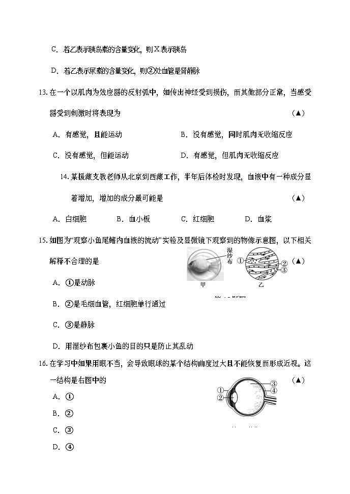 2024锦州市七年级生物（下）期末测试卷第3页