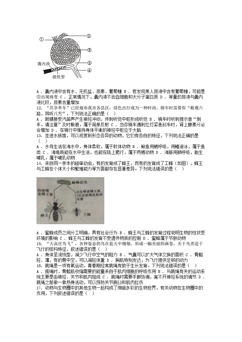 [生物]山东省聊城市2024年中考真题生物试卷03