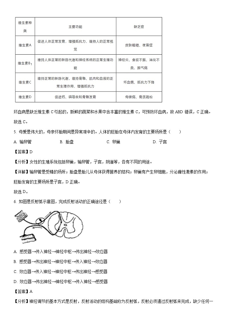 [生物][二模]2024年天津市河西区中考二模考试试题(解析版)03
