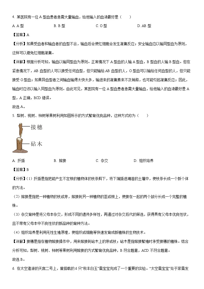 [生物][二模]2024年天津市红桥区中考二模考试试题(解析版)03