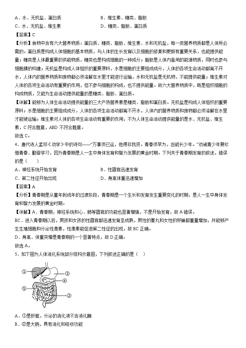 [生物][期末]七年级下学期期末模拟卷(辽宁专用)(解析版)02