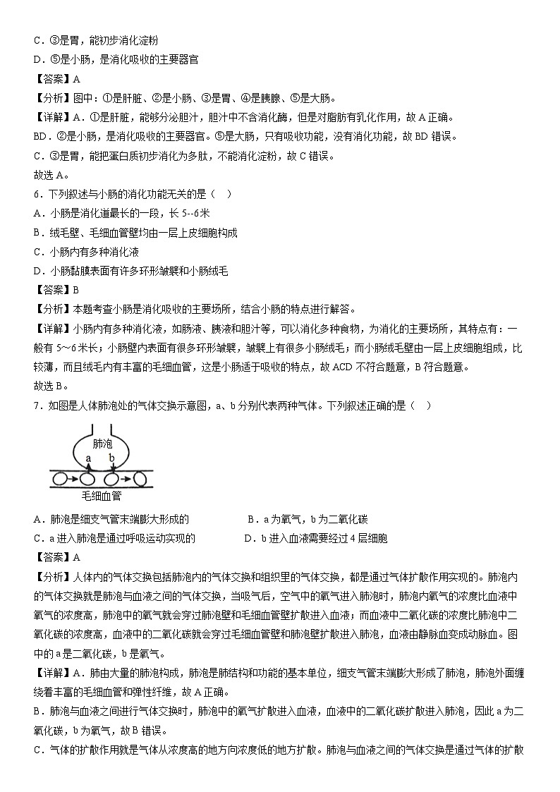 [生物][期末]七年级下学期期末模拟卷(辽宁专用)(解析版)03