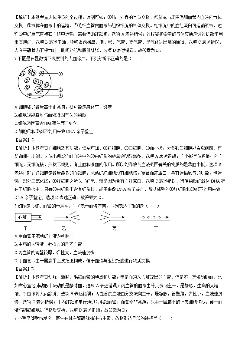 [生物][期末]七年级下学期期末模拟卷(武汉专用)(解析版)第3页