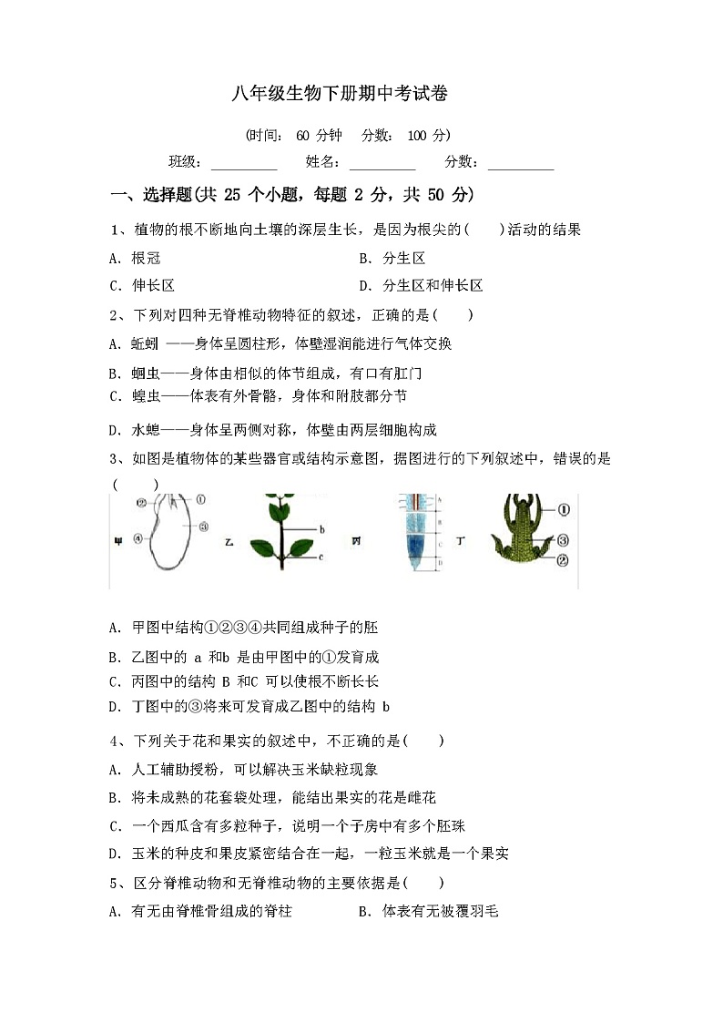人教版八年级生物下册期中考试卷(带答案)第1页
