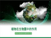 3.4.6植物在生物圈中的作用（课件+教案）北师大版 七上