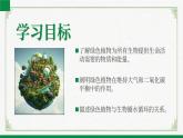 3.4.6植物在生物圈中的作用（课件+教案）北师大版 七上