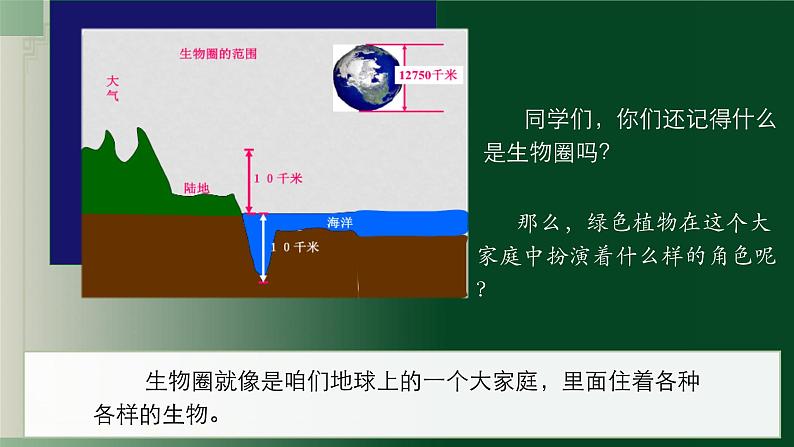 3.4.6植物在生物圈中的作用（课件+教案）北师大版 七上03