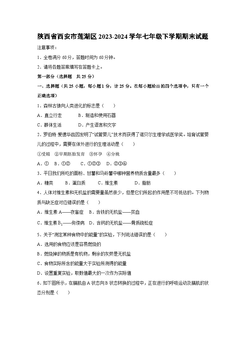 [生物][期末]陕西省西安市莲湖区2023-2024学年七年级下学期期末试题01