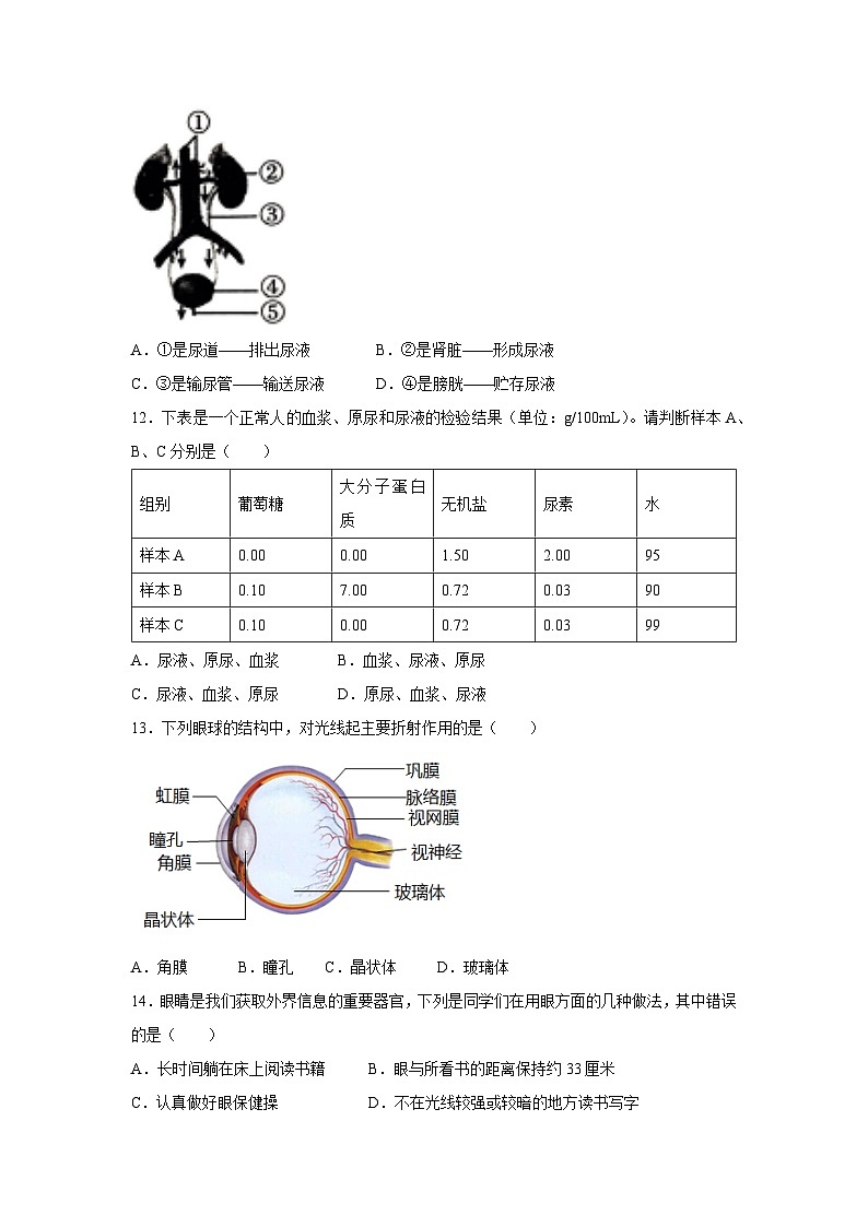 [生物][期末]陕西省西安市莲湖区2023-2024学年七年级下学期期末试题03