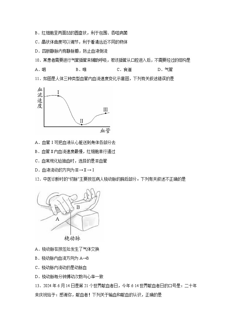 [生物]河南省南阳市方城县2023-2024学年七年级下学期期终阶段性调研试卷第3页