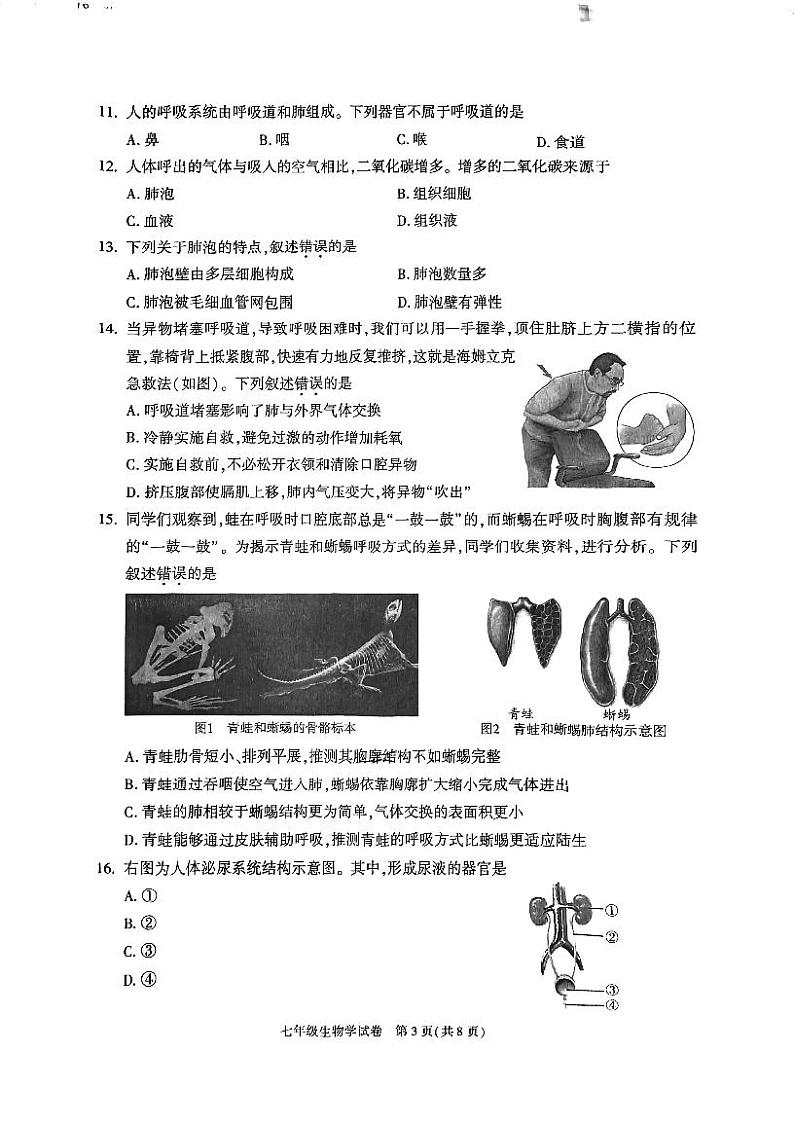 北京朝阳2023-2024初一下学期期末生物试卷03