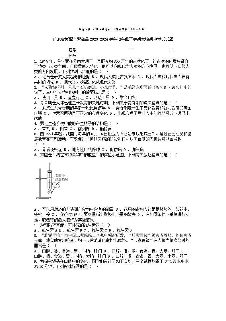 [生物][期中]广东省河源市紫金县2023-2024学年七年级下学期生物期中考试试题01