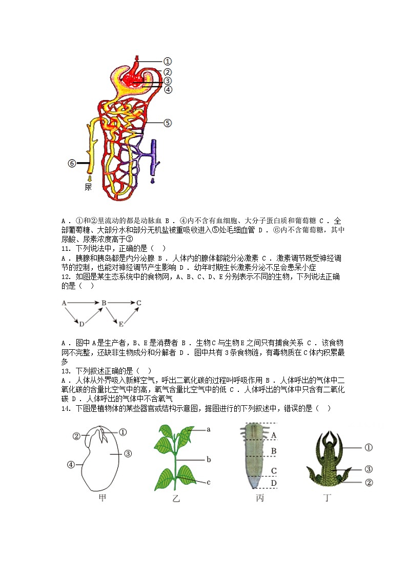 [生物][期中]四川省成都市第四十三中学校2023-2024学年八年级下学期生物期中试卷02