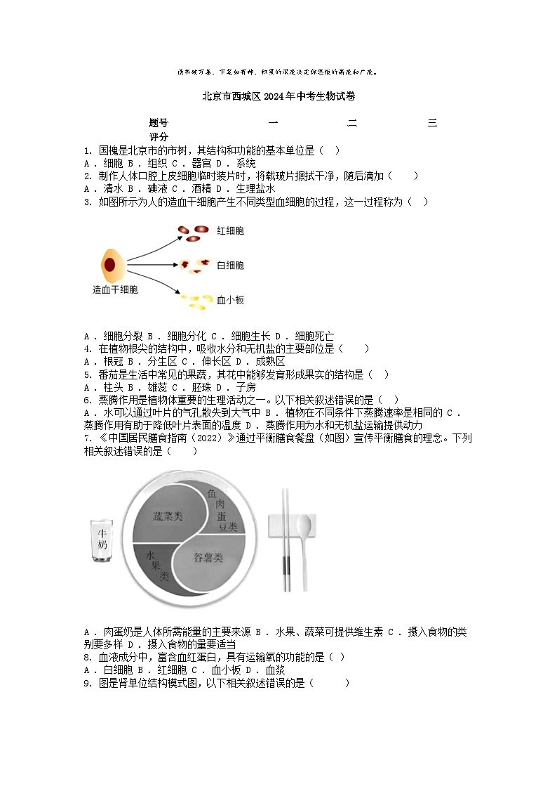 [生物]北京市西城区2024年中考真题生物试卷01