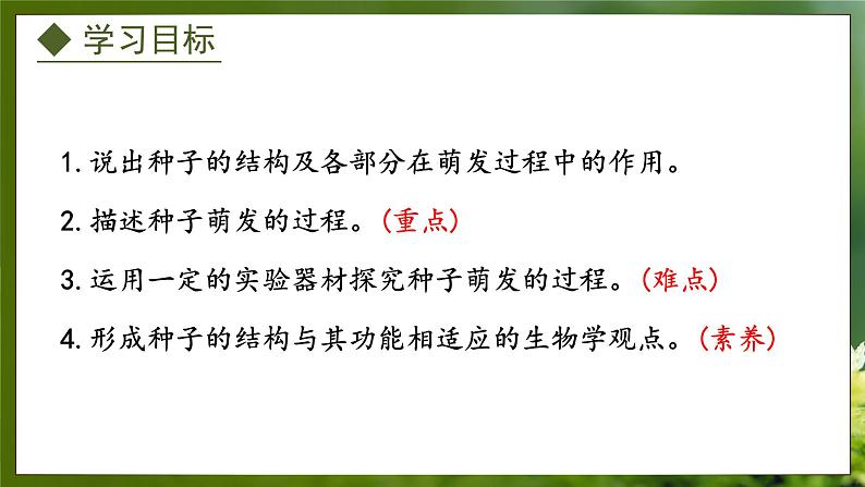 3.1.1  种子萌发的过程（课件）-2024-2025学年八年级冀少版生物上册02