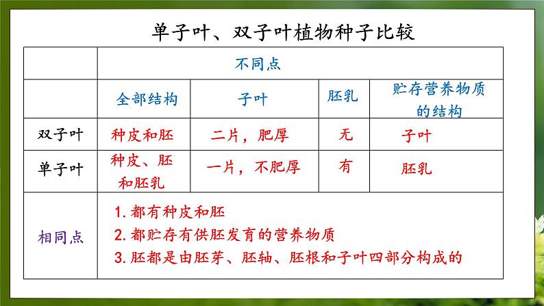 3.1.1  种子萌发的过程（课件）-2024-2025学年八年级冀少版生物上册05