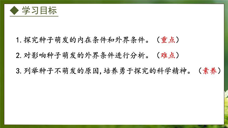 3.1.2  种子萌发的条件（课件）-2024-2025学年八年级冀少版生物上册02