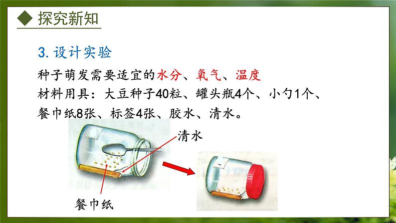 3.1.2  种子萌发的条件（课件）-2024-2025学年八年级冀少版生物上册06