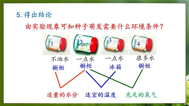 3.1.2  种子萌发的条件（课件）-2024-2025学年八年级冀少版生物上册08